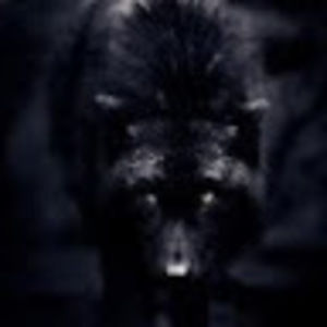 Meet your Posher, Alexander